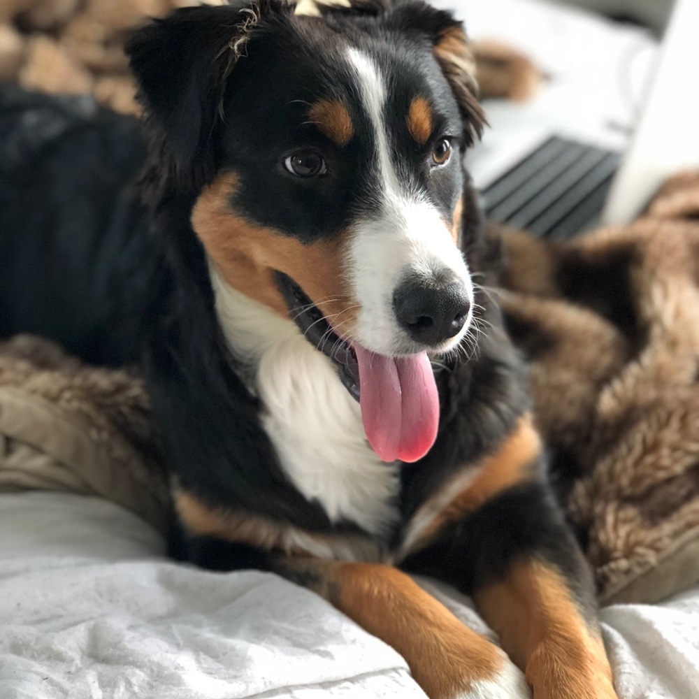 Meet your Posher, Bianca